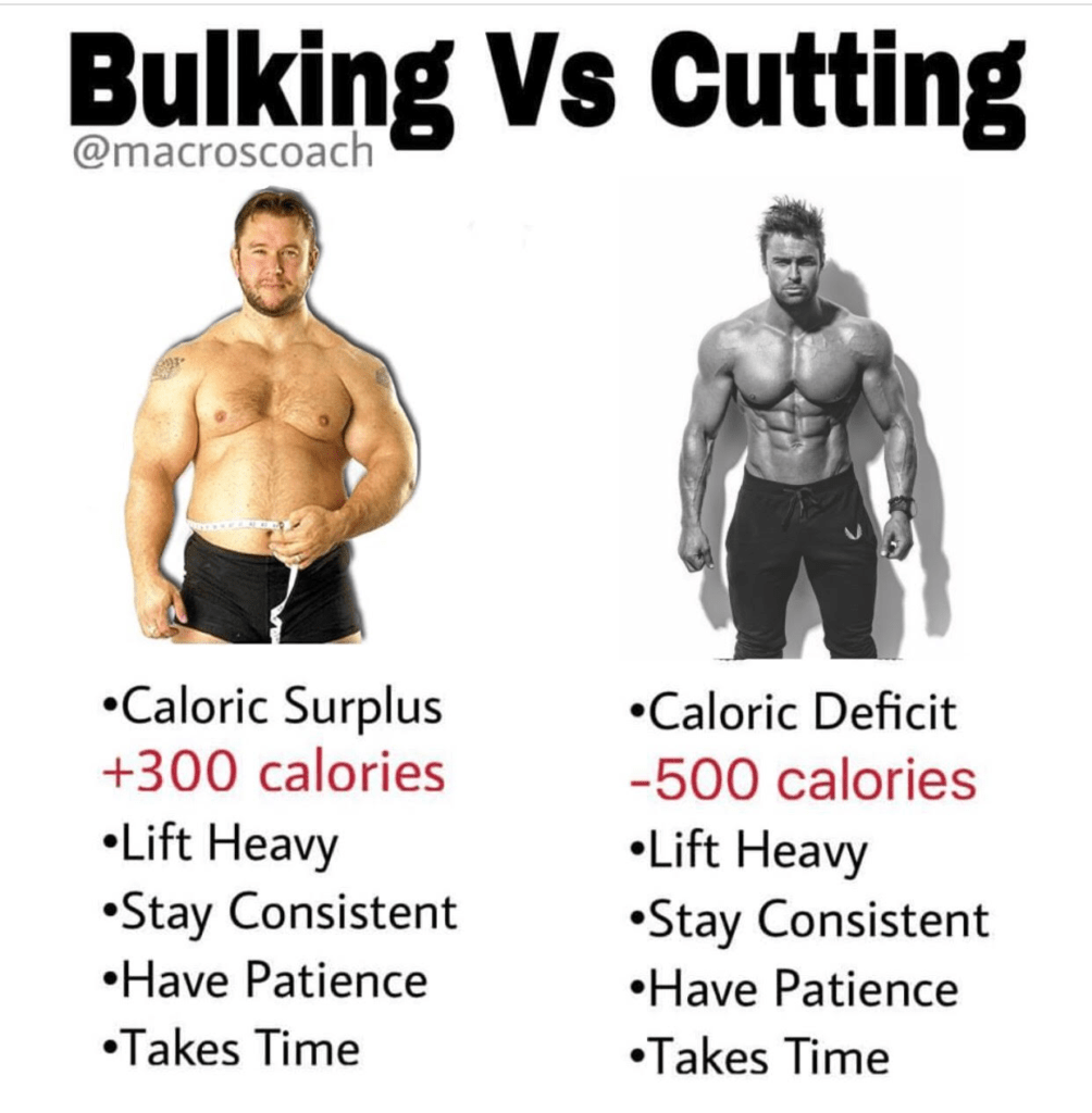 how often should i be bulking and cutting